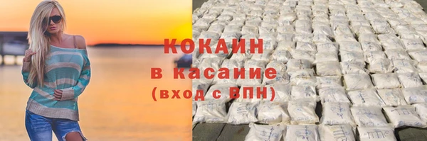 гидра Новодвинск