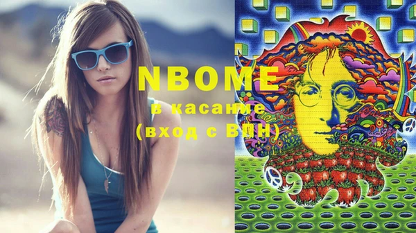 гидра Новодвинск