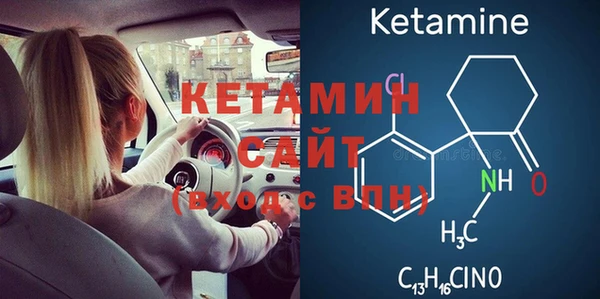 гидра Новодвинск