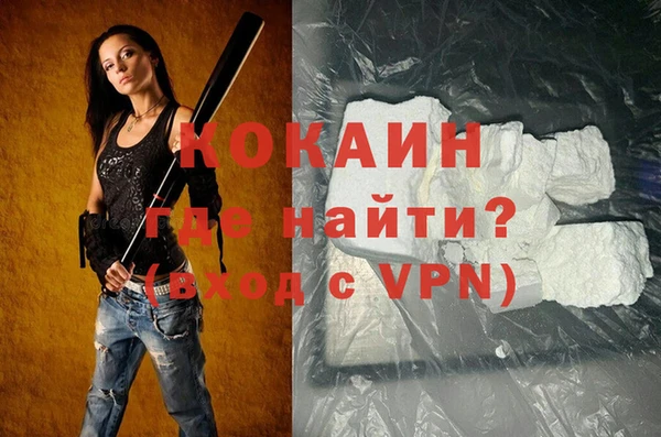гидра Новодвинск
