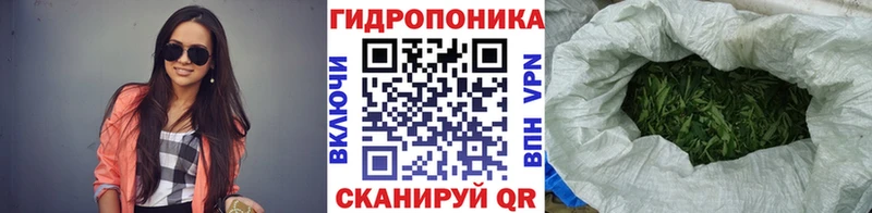 Конопля VHQ  Анива 